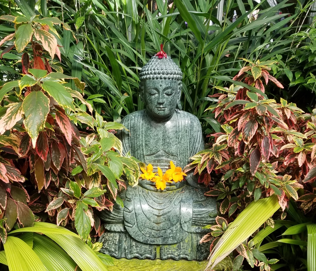 Buddha in Sarasota Florida